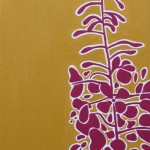 Fireweed