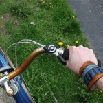 PEI Blue Jay Cuff