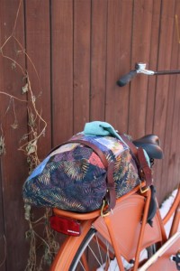 Randonee Straps